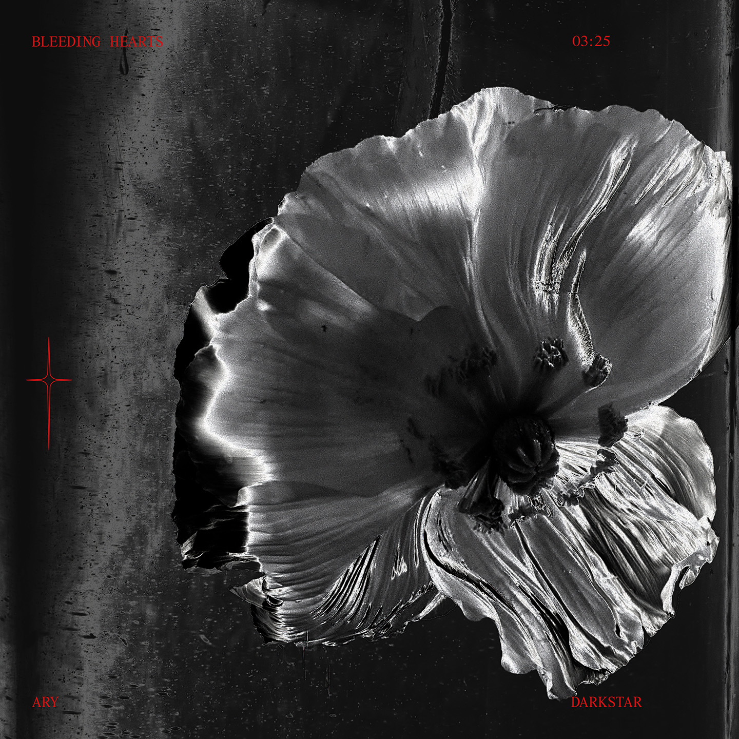 ARY – Bleeding Hearts